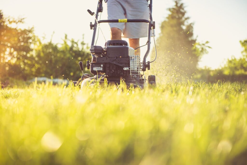 weed control in Winnipeg